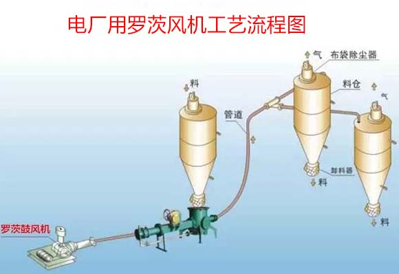 电厂用罗茨鼓黄瓜视频成人APP案例
