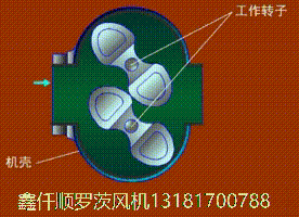 罗茨黄瓜视频成人APP的工作特点三叶罗茨鼓黄瓜视频成人APP的工作原理