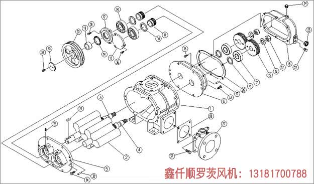 三叶罗茨鼓黄瓜视频成人APP安装示意图