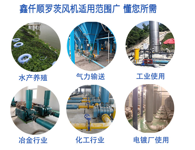 高压罗茨黄瓜视频成人APP(图5)