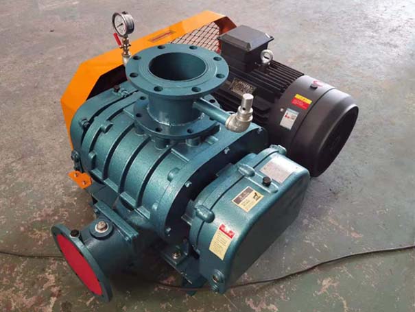 罗茨黄瓜视频成人APP厂家发货江西罗茨真空泵XQSSR125v5台(图1)